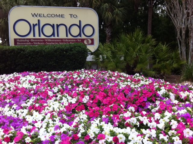 OIA Welcome to Orlando Petunias